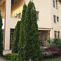 Casa de vânzare 6 camere, în Bucuresti, zona P-ta Muncii