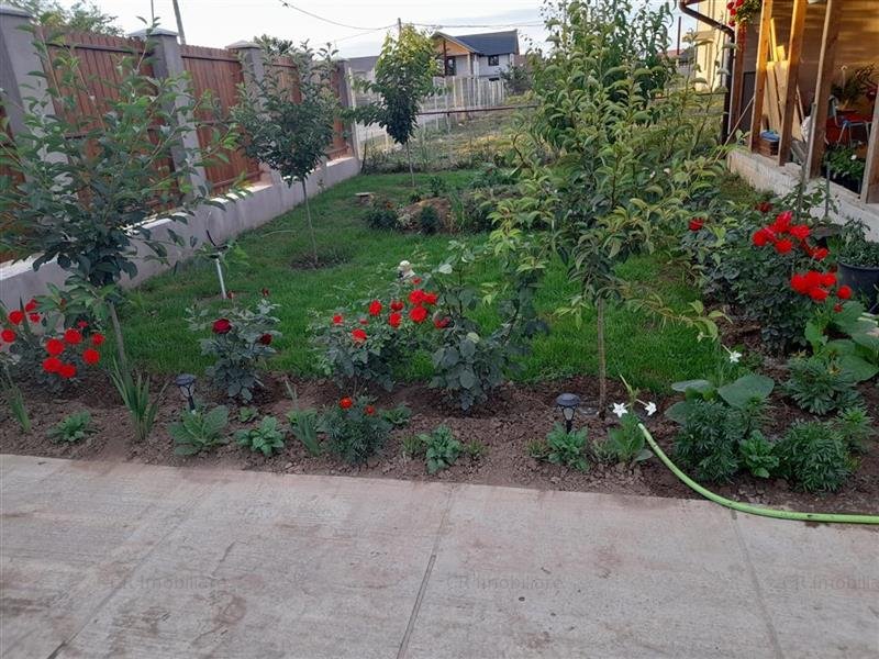 Casa parter aproape de Bucuresti in zona de paduri