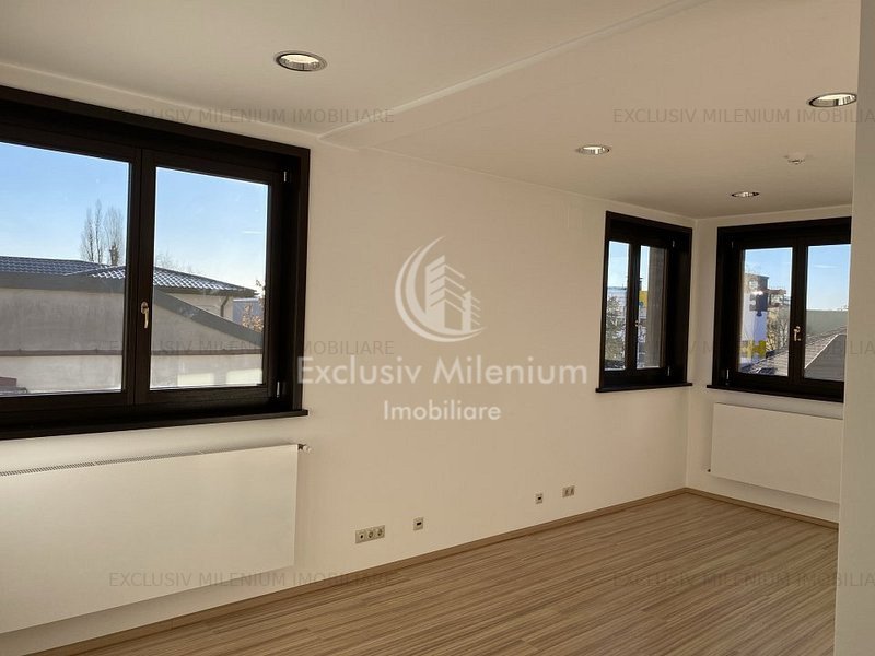 Vila / Casa ideal Birouri Stefan cel Mare - Tunari