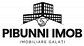 PIBUNNI IMOB PIBUNNI IMOB