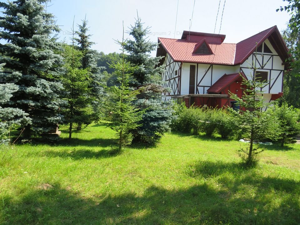 Vila moderna vanzare in Cheia Prahova la munte si 20000 mp teren - imaginea 16