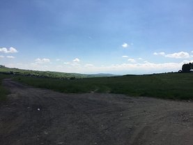 Teren agricol de vanzare sau de inchiriat, în Casolt