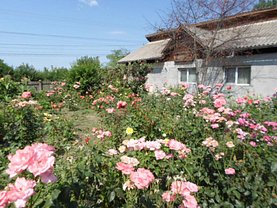 Casa de vânzare 3 camere, în Parepa-Ruşani