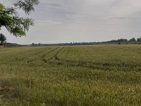 Teren agricol de vânzare, în Pleaşa