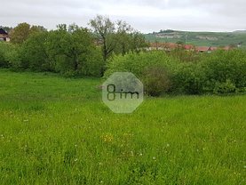 Teren constructii de vânzare, în Coruşu
