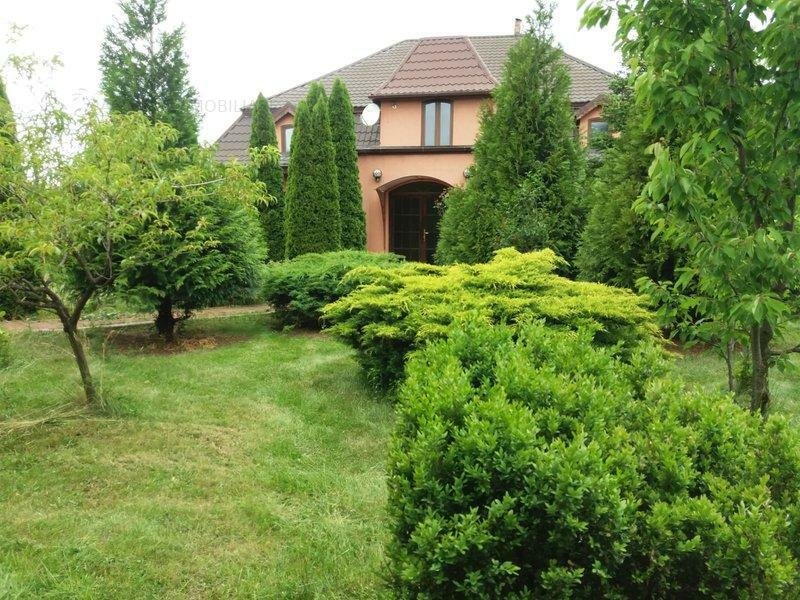 Ialomita,Popasul Sinesti,Livedea,P+M,Curte amenajata 2550 mp,35 km Bucuresti
