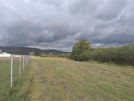 Teren agricol de vânzare, în Zărneşti, zona Tohăniţa