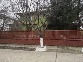 Casa în Amara