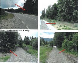 Teren pasune de vânzare în Colibita