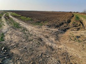 Teren agricol de vânzare în Corbeanca