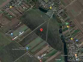Teren agricol de vânzare în Frumusani