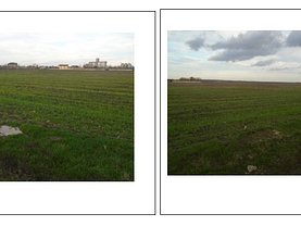Licitaţie teren constructii, în Roşiori de Vede