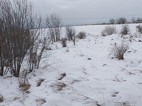 Teren agricol de vânzare în Fantana Mare