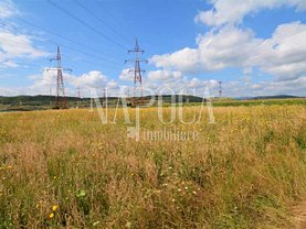 Teren agricol de vânzare, în Floresti