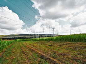 Teren agricol de vânzare, în Floresti
