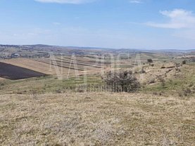 Teren agricol de vânzare, în Chinteni