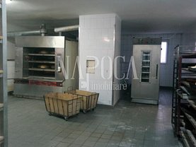 Vânzare spaţiu industrial