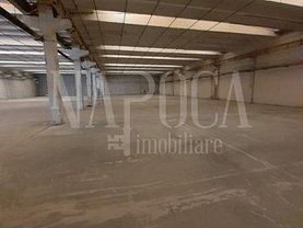 Vânzare spaţiu industrial în Cluj-Napoca, Iris