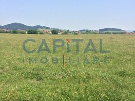 Teren agricol de vânzare, în Sânpetru
