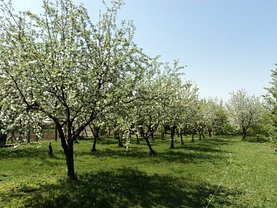 Teren constructii de vânzare, în Dezmir