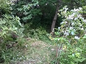 Teren constructii de vânzare, în Cluj-Napoca, zona Dâmbul Rotund