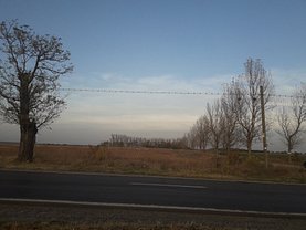 Teren constructii de vânzare, în Frumusani