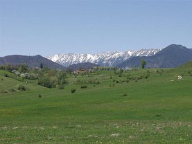Teren constructii de închiriat, în Brasov, zona Stupini