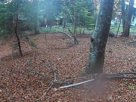 Teren constructii de vânzare, în Brasov, zona Poiana Brasov