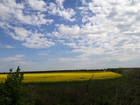 Teren agricol de vânzare, în Branesti
