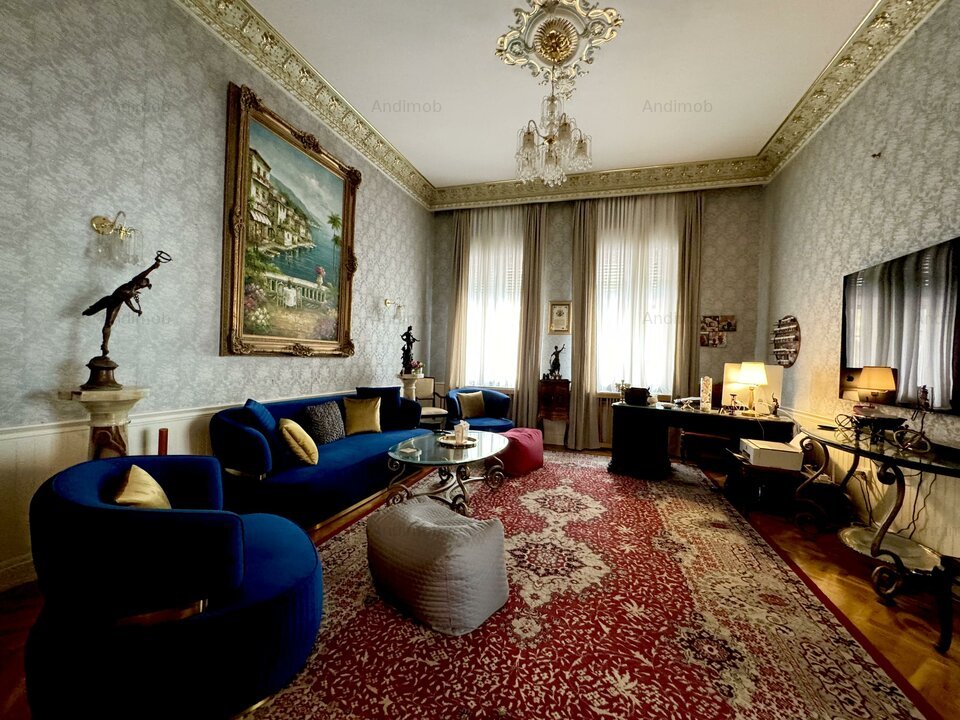 Vanzare vila Gradina Icoanei - Dacia - curte, casa de oaspeti