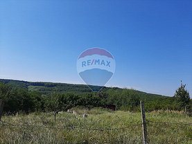 Teren constructii de vânzare, în Betfia