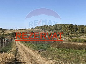 Teren agricol de vânzare, în Paleu