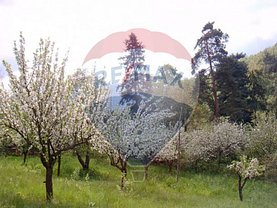 Teren agricol de vânzare, în Oradea, zona Dealuri Oradea