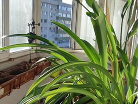 Apartament de vânzare 3 camere, în Bucuresti, zona Titulescu