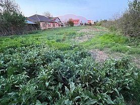 Teren agricol de vanzare, în Mogosoaia, zona Central