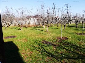 Teren constructii de vânzare, în Păuleştii Noi