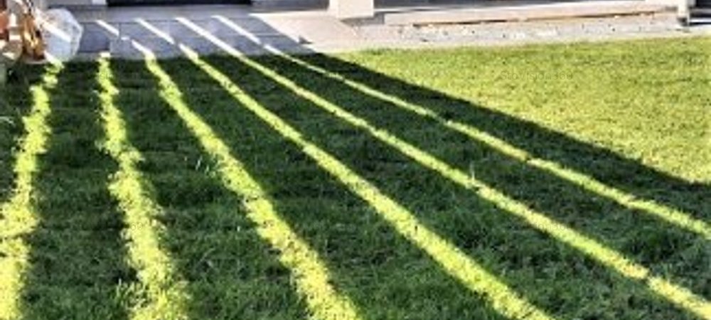 Duplex la cheie, finisaje la alegere, Dumbravita - imaginea 0 + 1