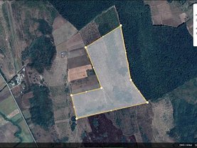 Vânzare livada de ciresi