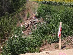 Teren agricol de vânzare în Buftea