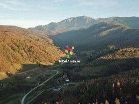 Teren faneata de vânzare, în Sebesu de Sus