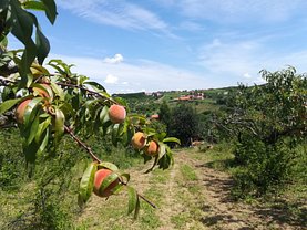 Teren constructii de vânzare, în Oradea, zona Dealuri Oradea