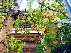 Apartament de inchiriat 4 camere, în Bucuresti, zona Dorobanti