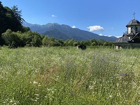 Teren agricol de vânzare, în Râşnov, zona Glăjărie