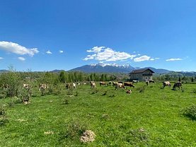 Teren constructii de vânzare, în Bran, zona Central