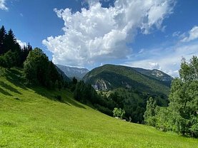 Teren agricol de vânzare, în Pestera