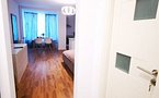 Regim hotelier apartament 1 camera Ultracentral LUX Take Ionescu ! - imaginea 11
