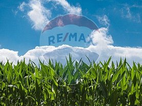 Teren agricol de vânzare, în Popeşti