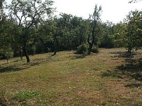 Teren constructii de vânzare, în Teişani