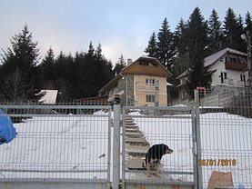 Casa de vânzare 4 camere, în Desesti