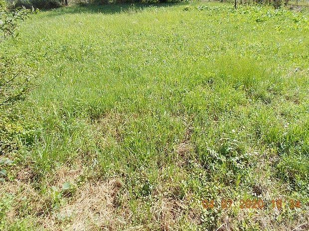 Teren parcelabil, Sacalaz, vatra satului, 2000 – 2750 mp, utilitati, asfalt – teren constructii de vanzare in Săcălaz, judetul Timiş – XA8B0300J Teren parcelabil, Sacalaz, vatra satului, 2000 – 2750 mp, utilitati, asfalt – teren constructii de vanzare in Săcălaz, judetul Timiş – XA8B0300J